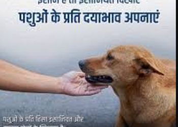 आओ दयालुता का भाव अपनाने का संकल्प करें